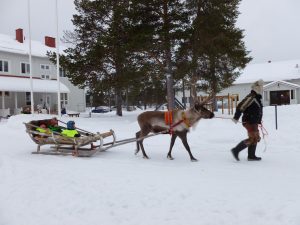 juha-ja-poro-pienennetty